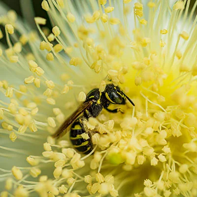 掌握Clash运行模式：解锁网络代理的精准控制艺术