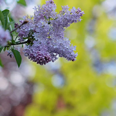 华硕RT68U路由器终极科学上网指南：解锁全球网络自由