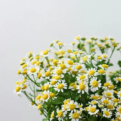 安卓v2rayNG完整配置指南：从零开始掌握安全代理设置