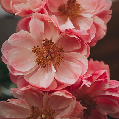 Clash代理工具终极实用指南：安装配置全流程与高效使用技巧深度解读